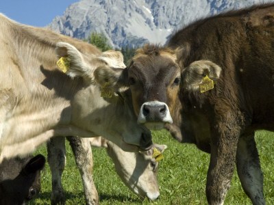 Apartment Apartment/1 Schlafraum/Dusche, WC - Outdoor photo 61