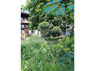 Apartment Apartment/1 Schlafraum/Dusche, WC - Outdoor photo 64