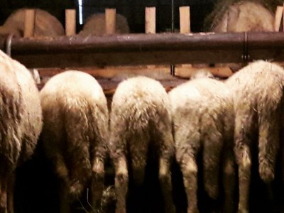 Apartment Apartment/1 Schlafraum/Dusche, WC - Outdoor photo 74