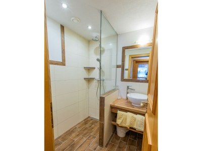 Apartment App. B Tauern/1 Schlafraum/Bad, WC - Features photo 120