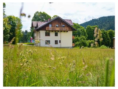 Apartment Appartement Dachstein - Features photo 31