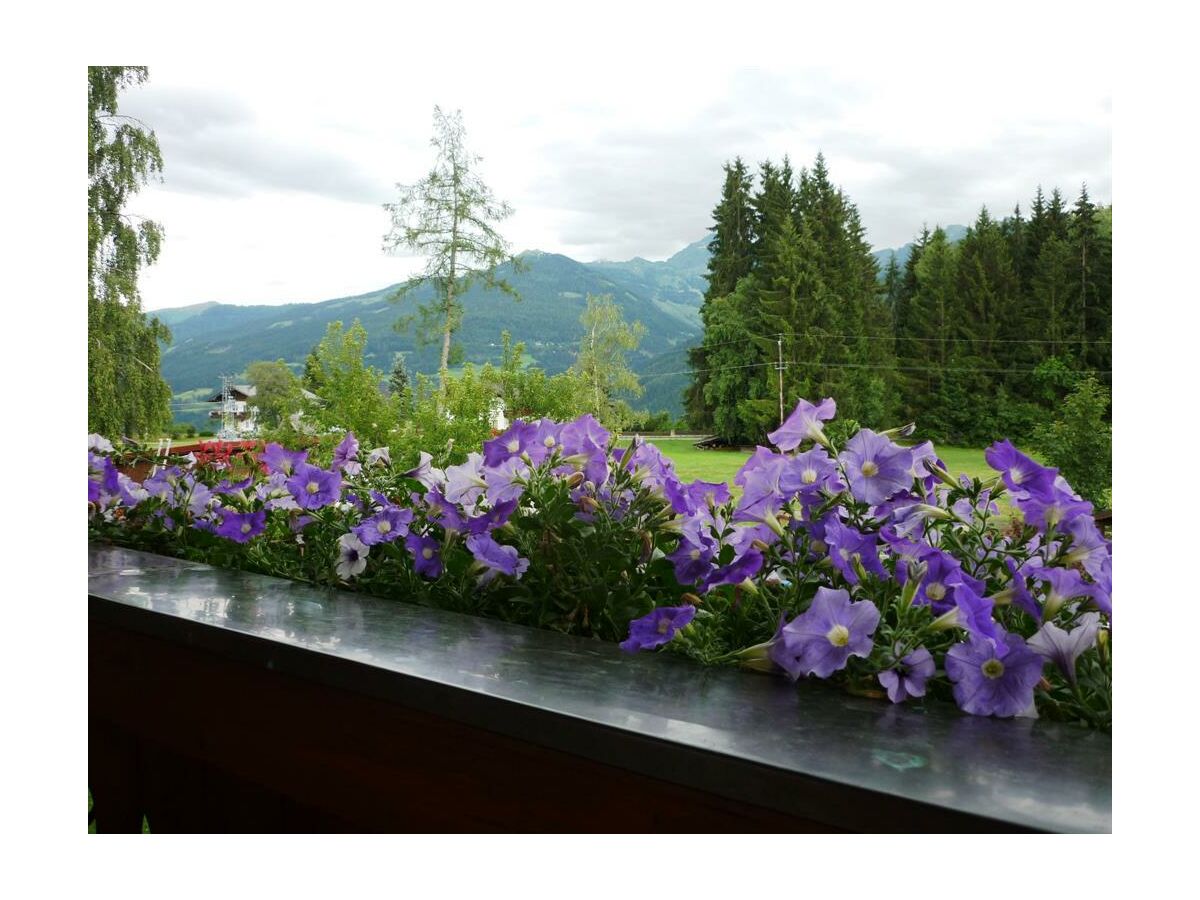 Apartment Ferienwohnung, 1 Schlafraum & 1 Wohn-/Schlafraum - Outdoor photo 2