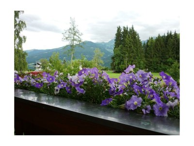 Apartment Ferienwohnung, 1 Schlafraum & 1 Wohn-/Schlafraum - Outdoor photo 2