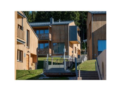 Apartment Chalet Apartment, Dusche, 2x WC, 1 Schlafraum in Ramsau am Dachstein - Apartment