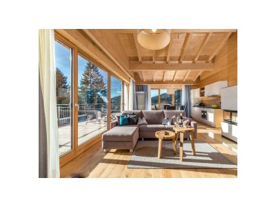 Apartment Chalet Apartment, Dusche, 2x WC, 1 Schlafraum - Outdoor photo 37