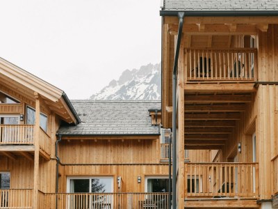 Apartment Freiraum in Ramsau am Dachstein - Apartment