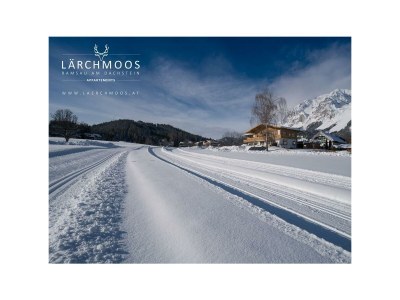 Apartment APP. C | 55m² | 2-4 Personen | 1 Schlafzimmer - Outdoor photo 10