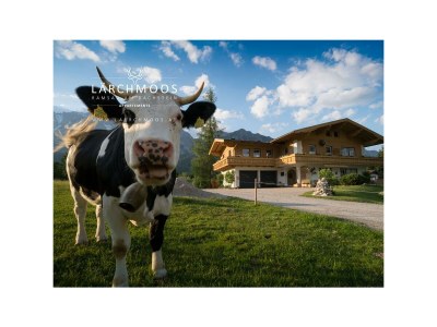 Apartment APP. C | 55m² | 2-4 Personen | 1 Schlafzimmer - Outdoor photo 20