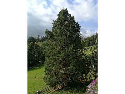 Apartment Appartement/3 Zimmer/3 Bäder/3 getr.WC/ Balkon - Outdoor photo 8