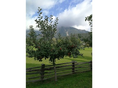 Apartment Appartement/3 Zimmer/3 Bäder/3 getr.WC/ Balkon - Outdoor photo 12