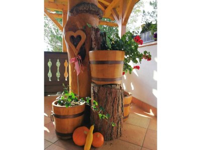 Apartment Appartement/3 Zimmer/3 Bäder/3 getr.WC/ Balkon - Outdoor photo 13