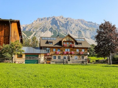 Apartment Apartment/1 Schlafraum/Bad, WC, Birke in Ramsau am Dachstein - Apartment