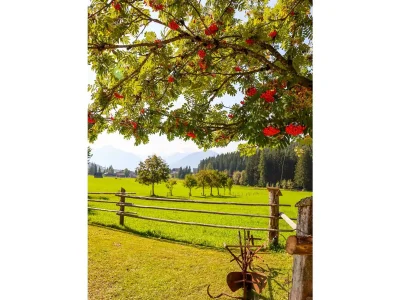 Apartment Apartment/1 Schlafraum/Bad, WC, Birke - Outdoor photo 6