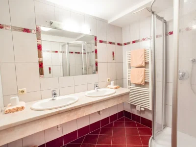 Apartment Apartment/1 Schlafraum/Bad, WC, Birke - Features photo 17