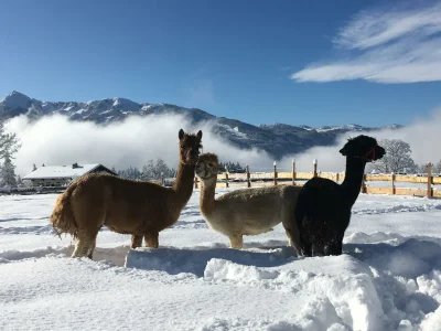 Apartment Appartement, 2 Schlafräume, Dusche und Badewanne - Outdoor photo 6
