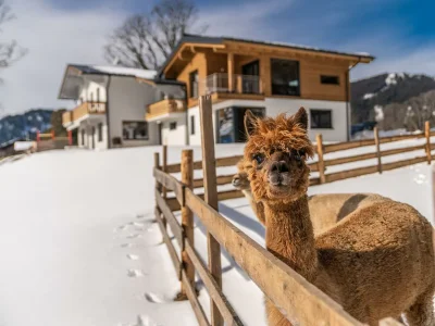 Apartment Appartement, 2 Schlafräume, Dusche und Badewanne - Outdoor photo 9