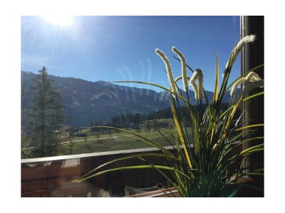 Apartment Appartement "Dachstein" - 2 Schlafr., Dusche, WC - Outdoor photo 19