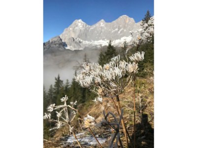 Apartment Appartement "Dachstein" - 2 Schlafr., Dusche, WC - Outdoor photo 45
