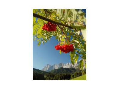 Holiday room Doppelzimmer mit Dusche, WC - Outdoor photo 27