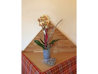 Holiday room Einzelzimmer mit Dusche, WC - Outdoor photo 33