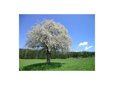 Apartment Apartment/2 Schlafräume/Dusche, WC - Outdoor photo 5