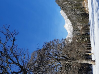 Apartment Appartement/Fewo, Bad, WC, 3 Schlafräume - Outdoor photo 29