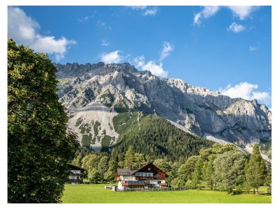 Apartment Typ C/Apartment/1 Schlafraum/Dusche, WC - Features photo 41