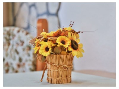 Apartment Typ C/Apartment/1 Schlafraum/Dusche, WC - Features photo 42