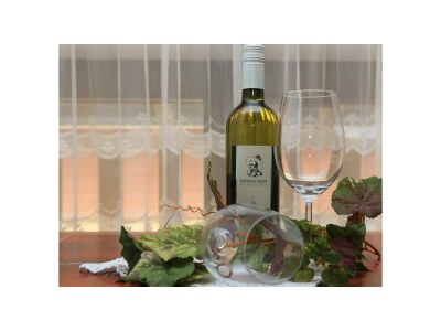 Apartment Typ B/Apartment/1 Schlafraum/Dusche, WC - Outdoor photo 12