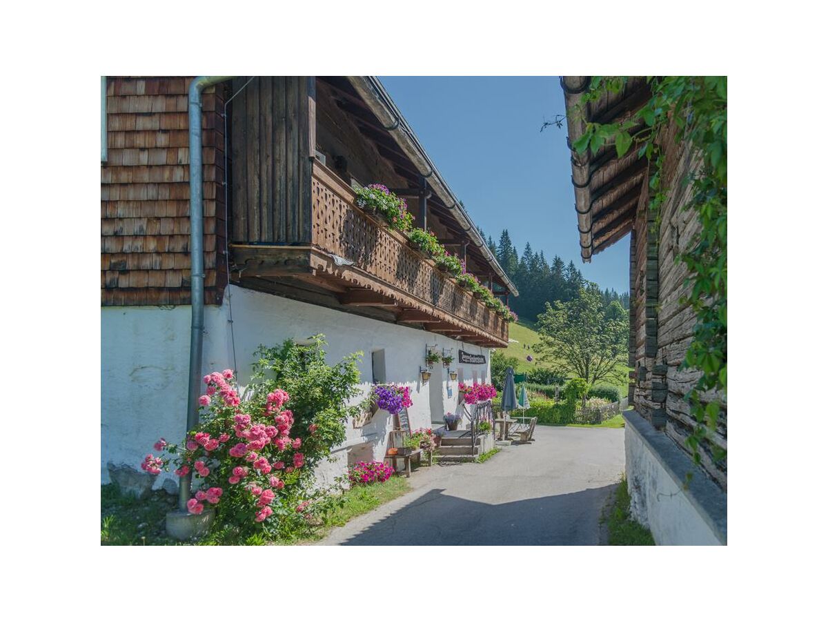 Apartment Kuschel Appartment/ Dusche, WC, gartenseitig - Outdoor photo 5