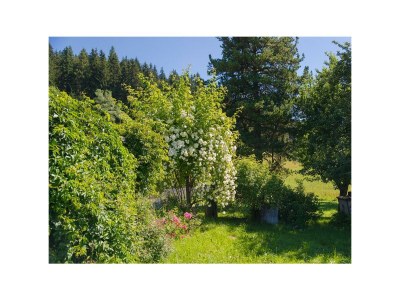 Apartment Zuhäusl Suite/1 Schlafraum/ Dusche, WC - Features photo 39