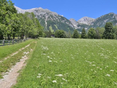 Holiday room Dreibettzimmer mit Dusche od. Bad, WC - Outdoor photo 7