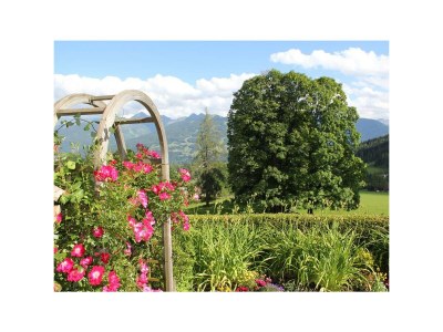 Holiday room Dreibettzimmer mit Dusche od. Bad, WC - Outdoor photo 38