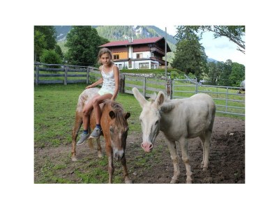 Holiday room Dreibettzimmer mit Dusche od. Bad, WC - Outdoor photo 39