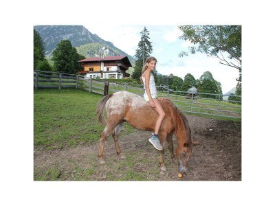 Holiday room Dreibettzimmer mit Dusche od. Bad, WC - Outdoor photo 41