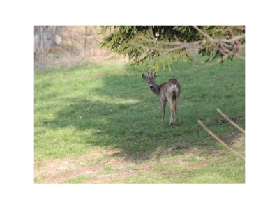 Holiday room Dreibettzimmer mit Dusche od. Bad, WC - Outdoor photo 58