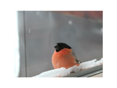 Holiday room Dreibettzimmer mit Dusche od. Bad, WC - Outdoor photo 59