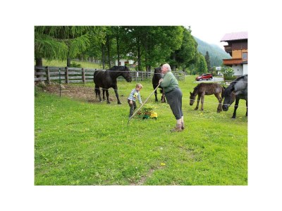 Holiday room Dreibettzimmer mit Dusche od. Bad, WC - Outdoor photo 60