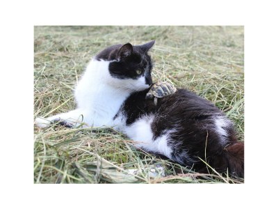 Holiday room Dreibettzimmer mit Dusche od. Bad, WC - Outdoor photo 64