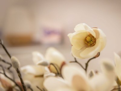 Holiday room Dreibettzimmer mit Dusche od. Bad, WC - Outdoor photo 86