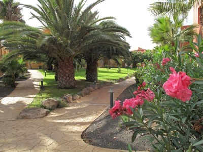 Holiday apartment in Residence Oasis Tamarindo - Outdoor photo 6