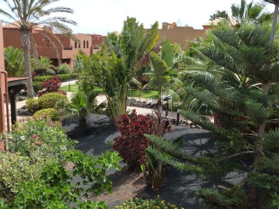 Holiday apartment in Residence Oasis Tamarindo - Outdoor photo 7