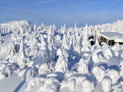 Apartment Appart.Nr.4, max. 6 Pers. 3 Schlafräume, Dusche/WC - Outdoor photo 22