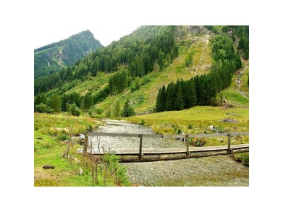 Holiday room Doppelzimmer mit Dusche/WC , Balkon/Terrasse - Features photo 86