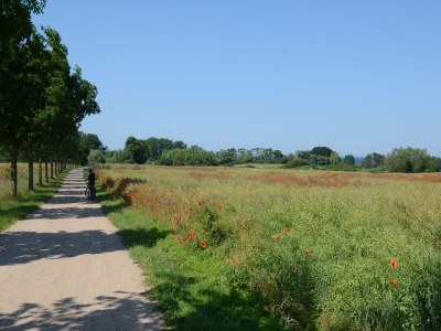 Holiday house Kranichblick - Freiheit - Environment photo 28