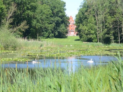 Holiday house Kranichblick - Freiheit - Environment photo 29