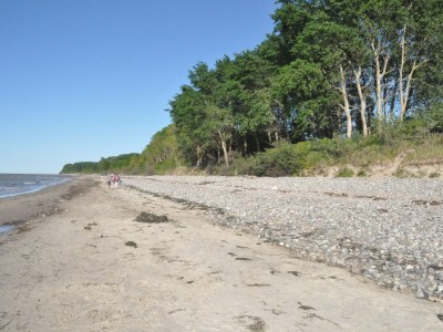 Holiday house Kranichblick - Freiheit - Environment photo 31