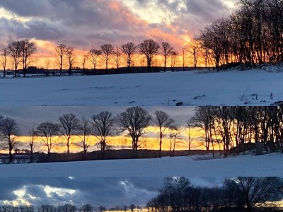 Holiday house Kranichblick - Freiheit - Environment photo 32