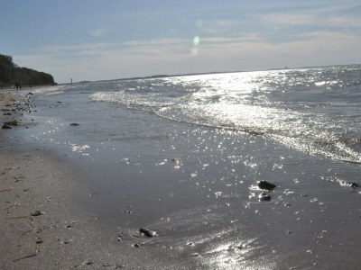 Holiday house Kranichblick - Freiheit - Environment photo 33