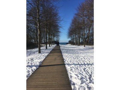 Holiday house Kranichblick - Freiheit - Environment photo 36